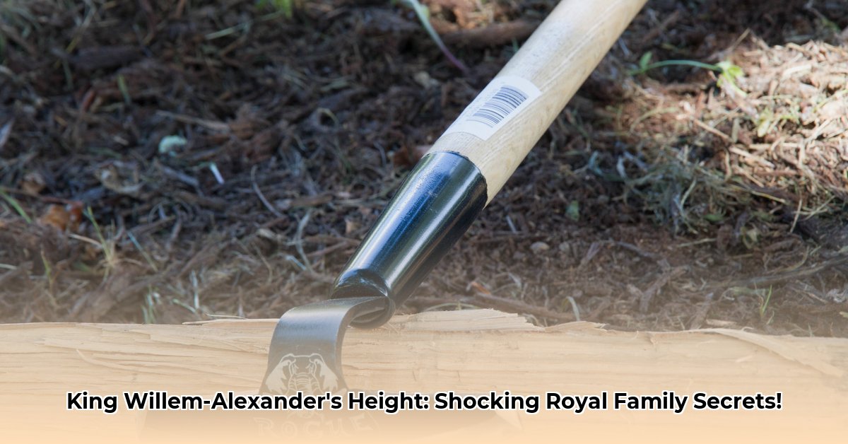 hoe-lang-is-willem-alexander